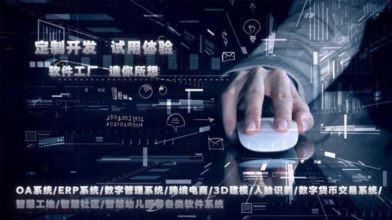 重庆软件开发:技术与创意的完美碰撞