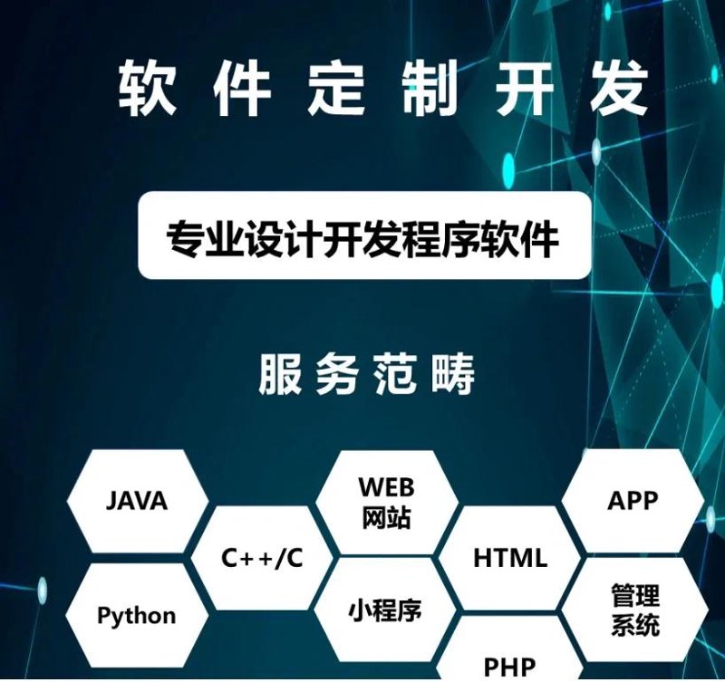 软件定制开发:构建你业务的未来引擎